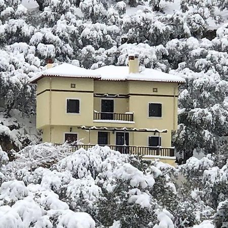 Pelion Mountain & Sea Villa - Private Studio Ano Gatzea Экстерьер фото