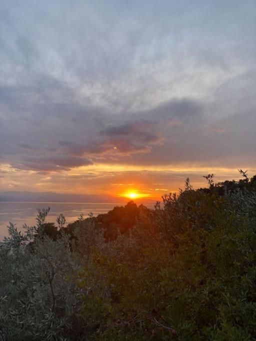 Pelion Mountain & Sea Villa - Private Studio Ano Gatzea Экстерьер фото