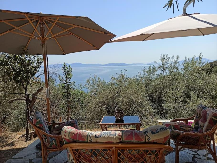 Pelion Mountain & Sea Villa - Private Studio Ano Gatzea Экстерьер фото
