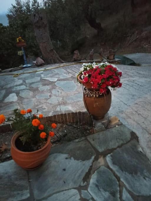 Pelion Mountain & Sea Villa - Private Studio Ano Gatzea Экстерьер фото