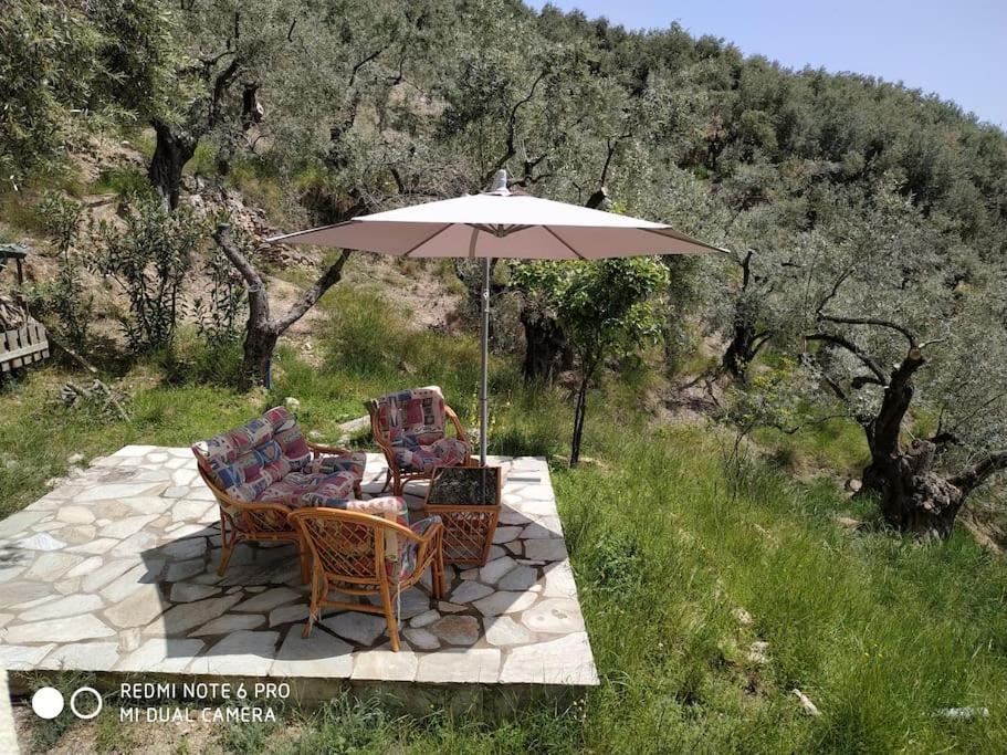 Pelion Mountain & Sea Villa - Private Studio Ano Gatzea Экстерьер фото