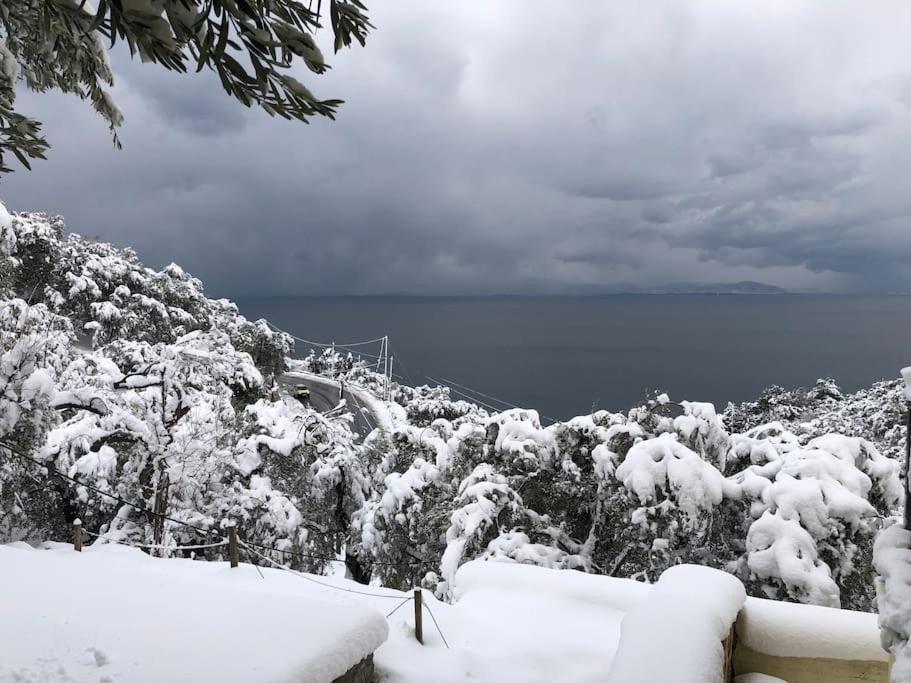 Pelion Mountain & Sea Villa - Private Studio Ano Gatzea Экстерьер фото